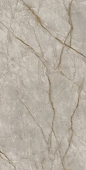 Керамогранит ATLAS CONCORDE RUSSIA EMPIRE / ЭМПАИР Empire Silver Root Polished 80x160 - Керамика