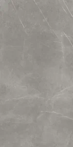 Керамогранит ATLAS CONCORDE RUSSIA FORTE DEI MARMI / ФОРТЕ ДЕЙ МАРМИ Elegant Grey Сатинированная 60x120 - Керамика