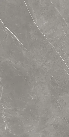 Керамогранит ATLAS CONCORDE RUSSIA FORTE DEI MARMI / ФОРТЕ ДЕЙ МАРМИ Elegant Grey Лаппатированная 80x160 - Керамика