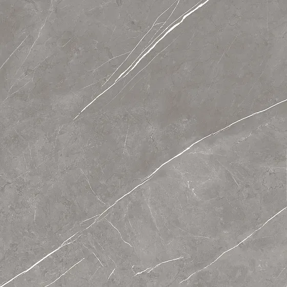 Керамогранит ATLAS CONCORDE RUSSIA FORTE DEI MARMI / ФОРТЕ ДЕЙ МАРМИ Elegant Grey Матовая 120x120 - Керамика