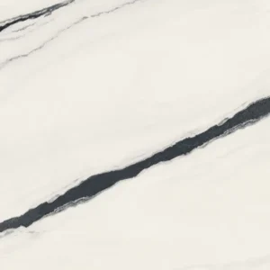 Керамогранит ATLAS CONCORDE RUSSIA FORTE DEI MARMI / ФОРТЕ ДЕЙ МАРМИ Panda White Матовая 120x120 - Керамика
