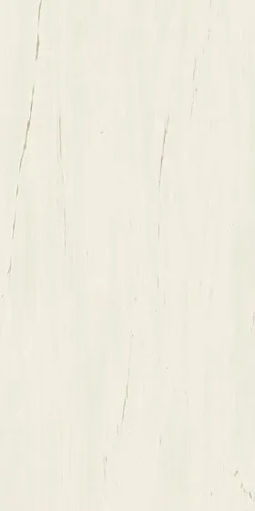 Керамогранит ATLAS CONCORDE MARVEL STONE Bianco Dolomite Matt Матовый 60x120 - Керамика