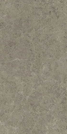 Керамогранит ATLAS CONCORDE MARVEL MERAVIGLIA Grigio Elegante Lappato 9 mm 120x240 - Керамика