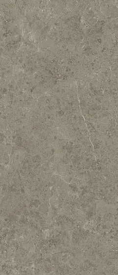 Керамогранит ATLAS CONCORDE MARVEL MERAVIGLIA Grigio Elegante Lappato 6 mm 120x278 - Керамика