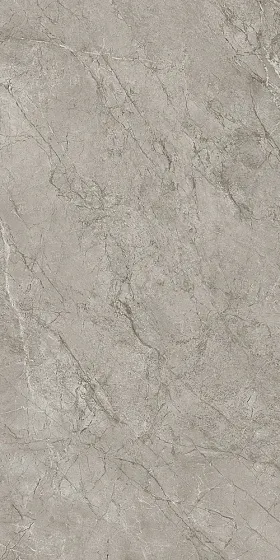 Керамогранит ATLAS CONCORDE MARVEL MERAVIGLIA Silver Majestic Matt 9 mm 60x120 - Керамика