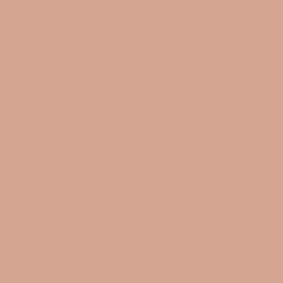 Керамогранит EQUIPE BAUHOME Rose 20x20 - Керамика